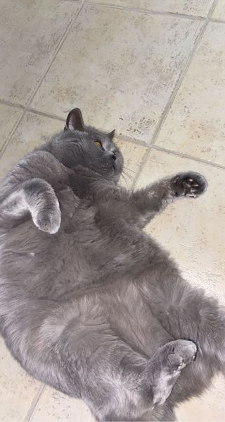 (2)Mia